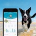 GPS-трекер для домашних животных. Findster Duo+ 6